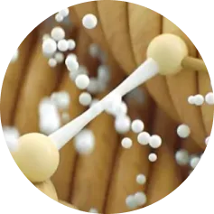 Dot3