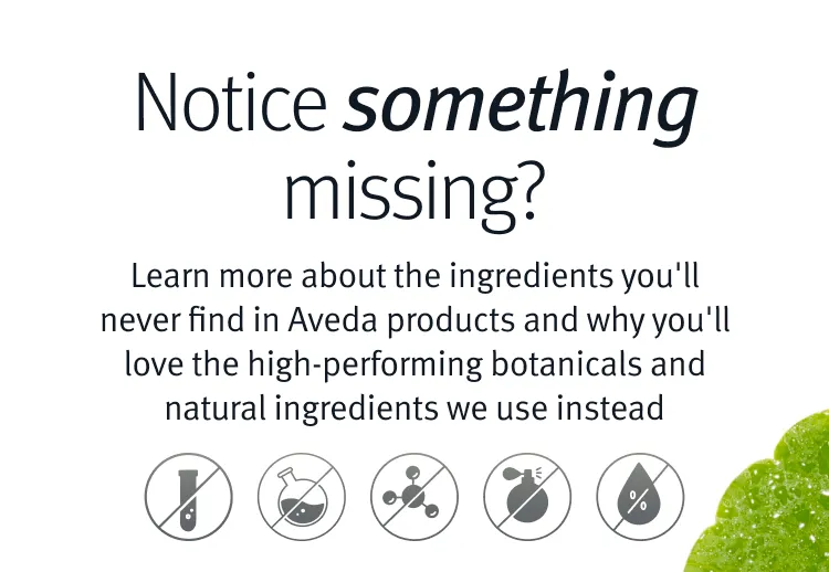 Ingredients1